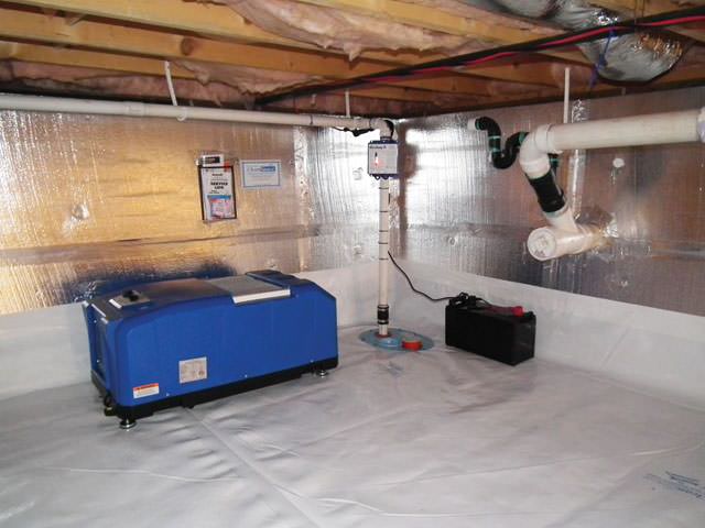 Mold removal in Central NJ